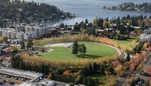 online payday loans in bellevue washington usa